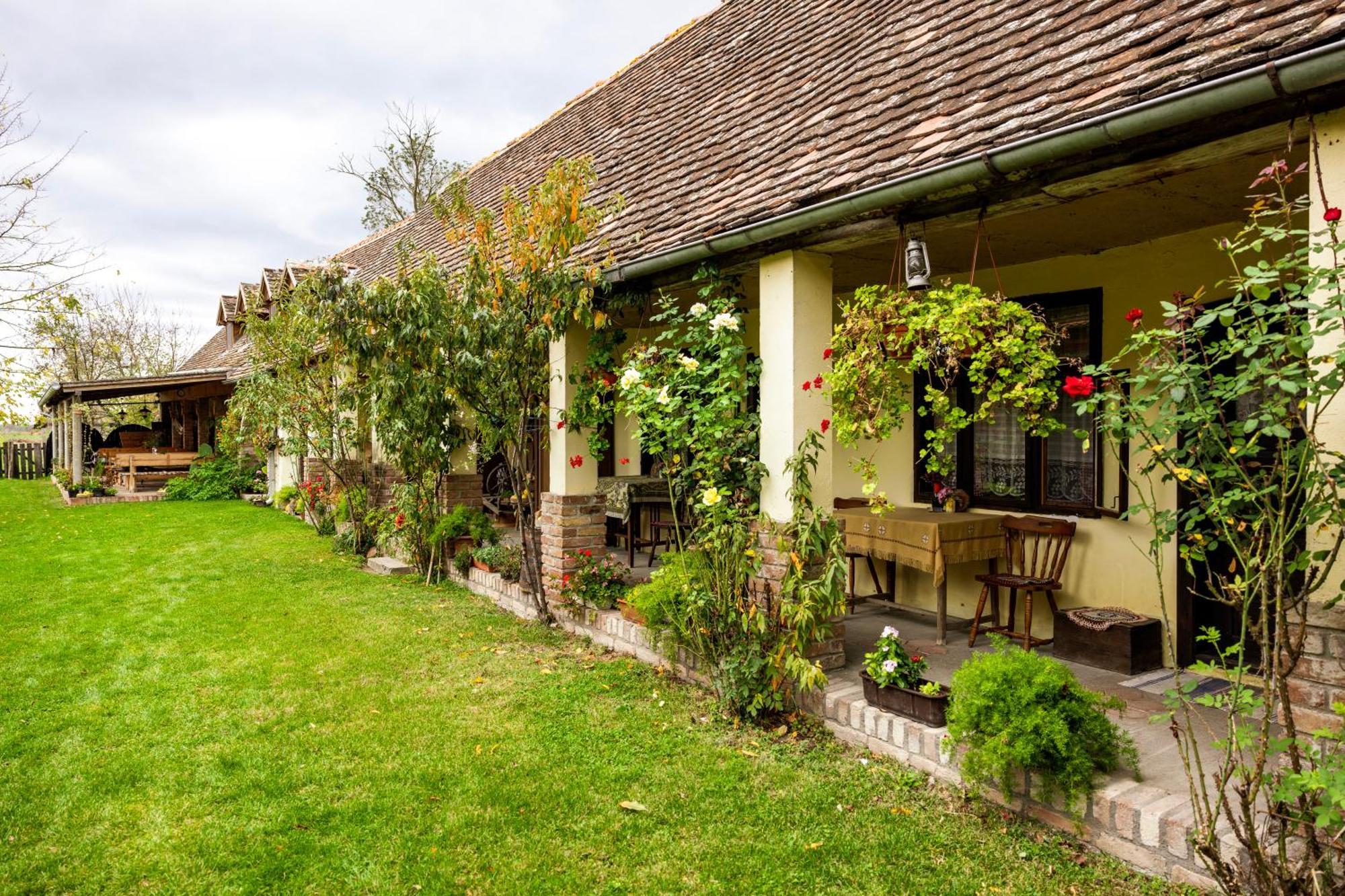 Snasini Kucari Bed & Breakfast Gradiste Eksteriør bilde