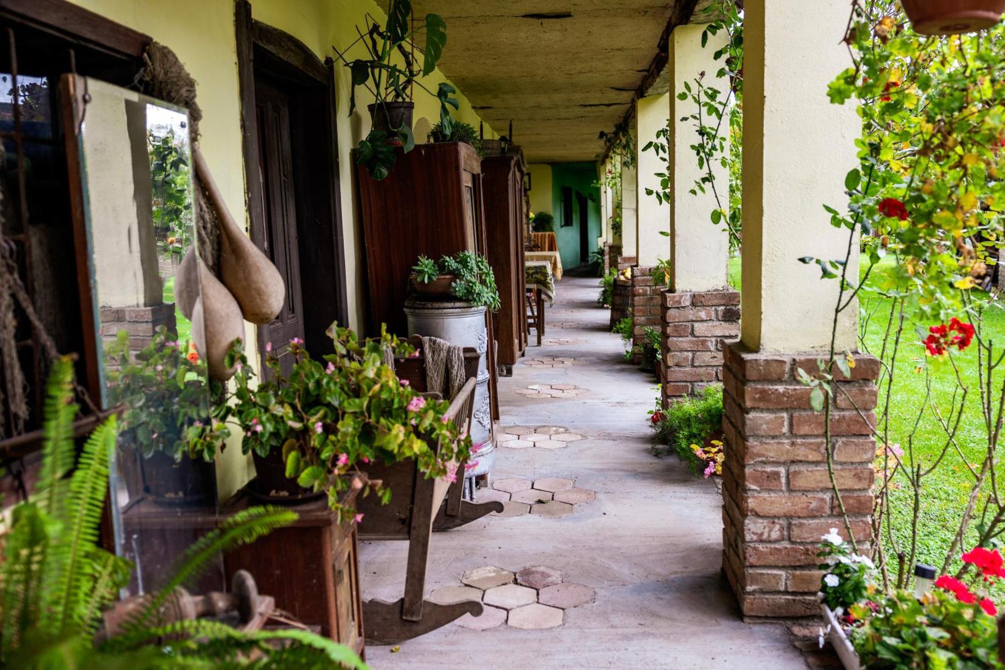 Snasini Kucari Bed & Breakfast Gradiste Eksteriør bilde